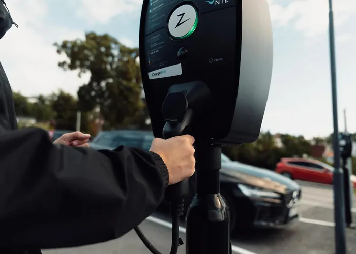 Western Tingvold Park Steinkjer