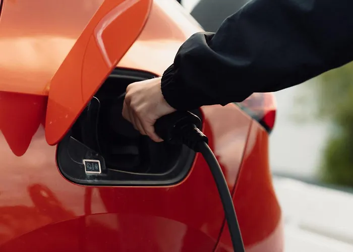 Western Tingvold Park